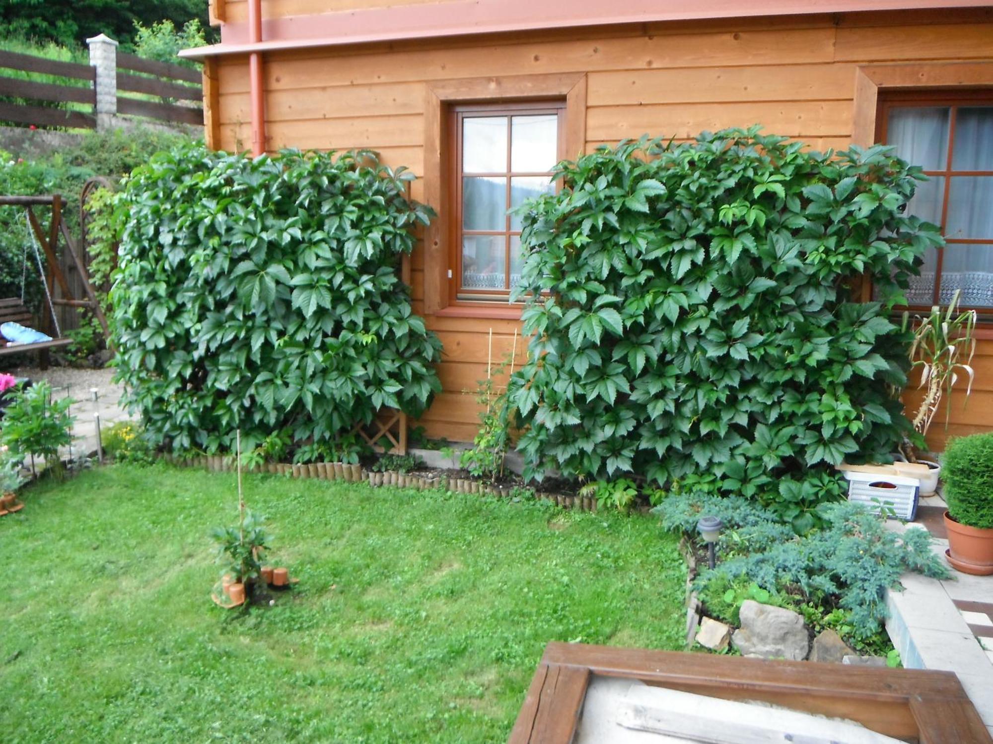 Dom Goscinny Dudek Krynica-Zdrój Extérieur photo