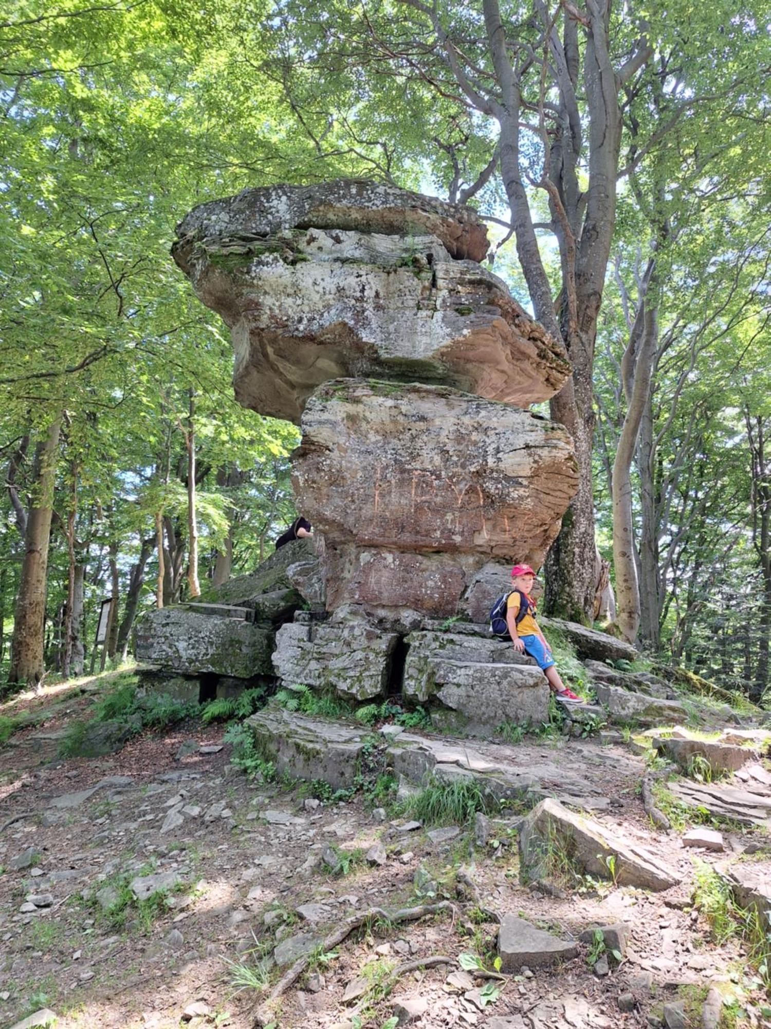 Dom Goscinny Dudek Krynica-Zdrój Extérieur photo